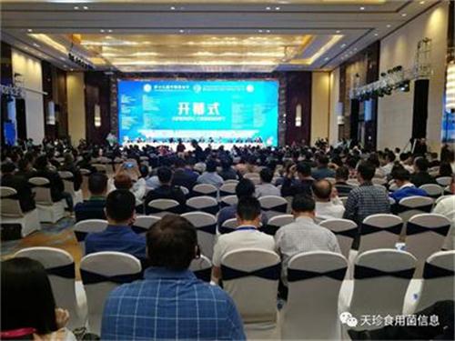 81861_1.jpg 81861_1.jpg