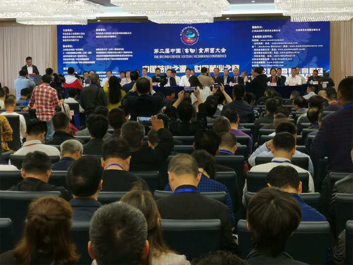 82057_s.jpg 82057_s.jpg