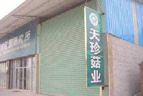 龙海市天珍菇业有限公司