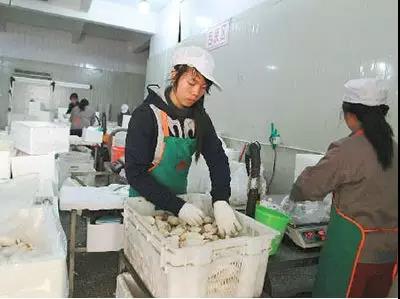 82006_s.jpg 82006_s.jpg