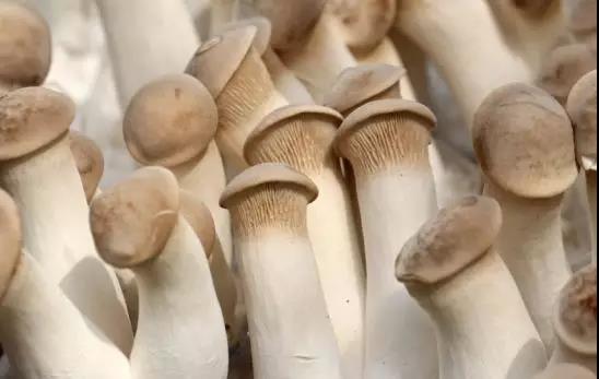 82006_1.jpg 82006_1.jpg