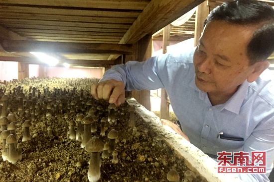 82026_s.jpg 82026_s.jpg