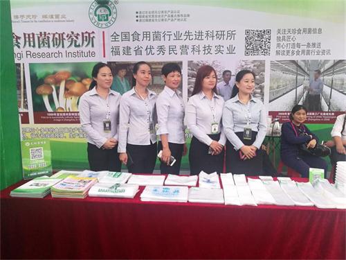 82029_s.jpg 82029_s.jpg