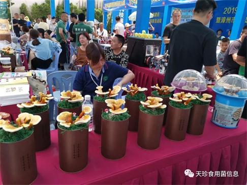 82060_3.jpg 82060_3.jpg