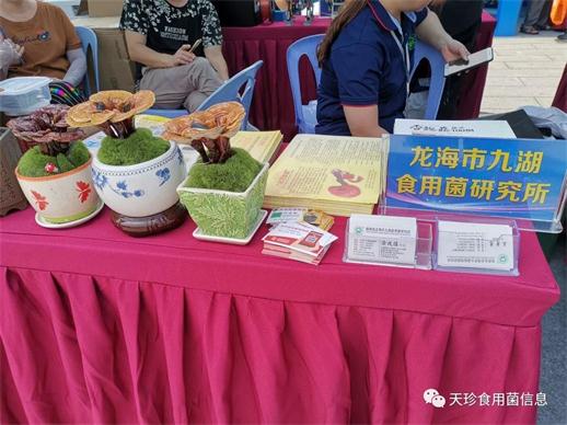 82060_2.jpg 82060_2.jpg