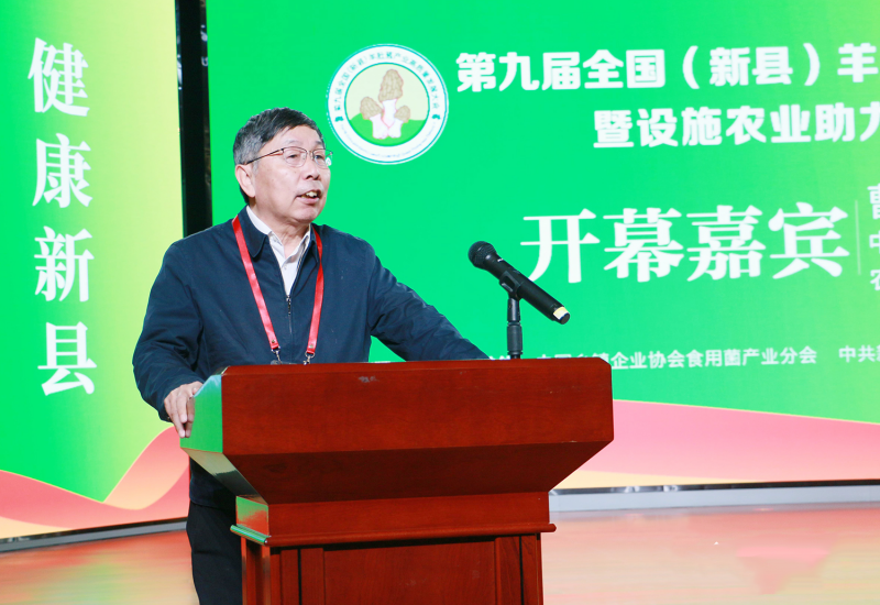 16-20-30-80-451102.png 16-20-30-80-451102.png