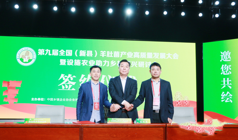 16-21-08-38-451102.png 16-21-08-38-451102.png