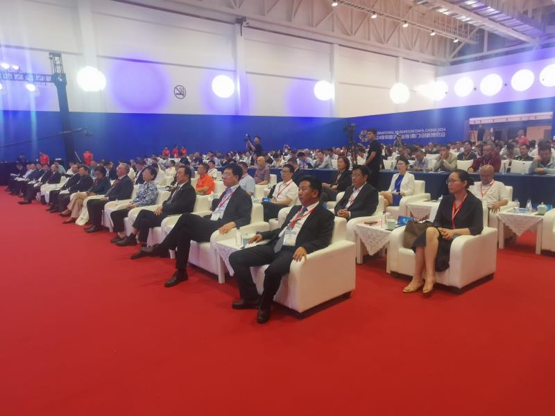 微信图片_20240425222428.jpg 微信图片_20240425222428.jpg