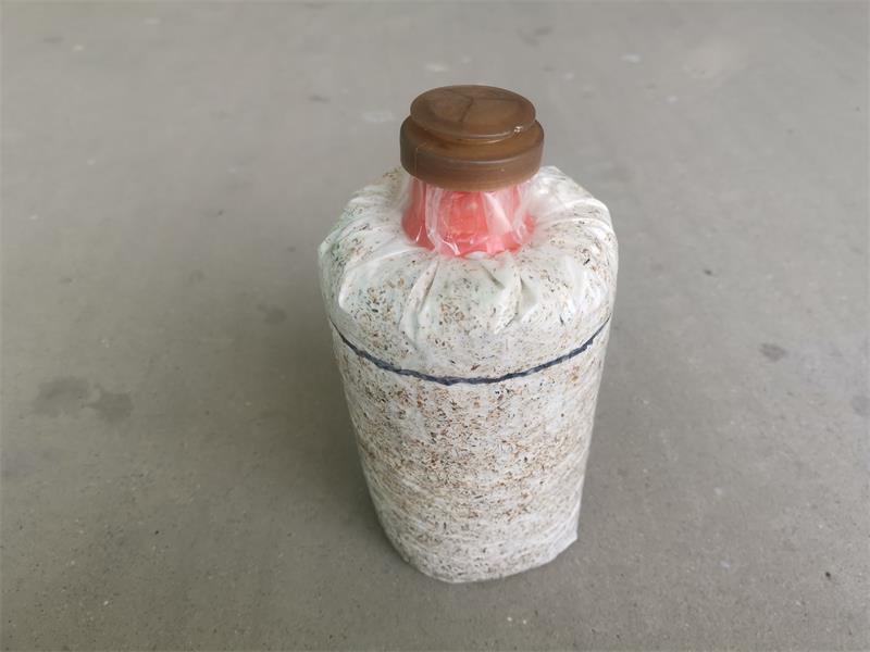 4623543065f0f1bef7f784c701622c1.jpg 4623543065f0f1bef7f784c701622c1.jpg