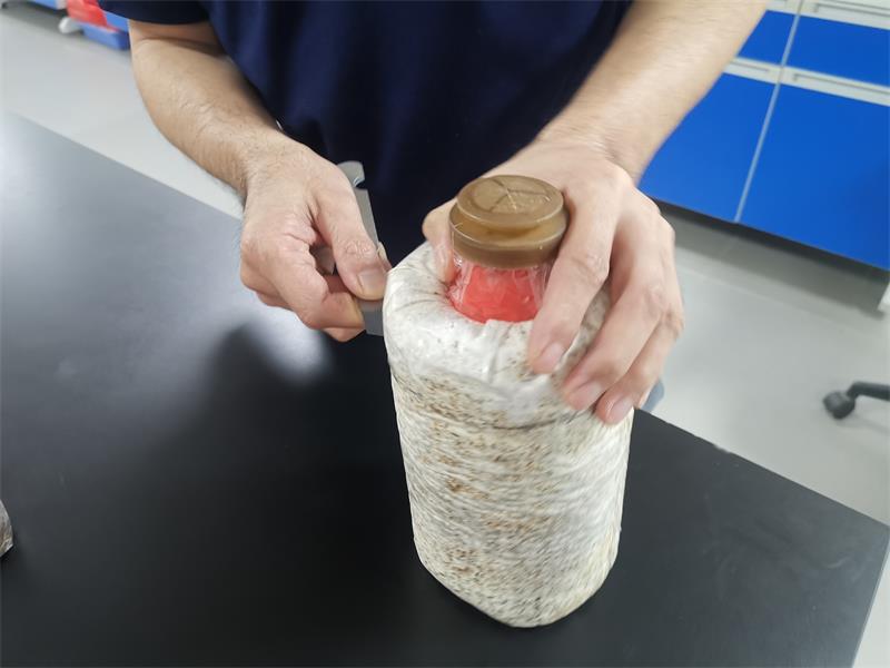 微信图片_20240510202624.jpg 微信图片_20240510202624.jpg