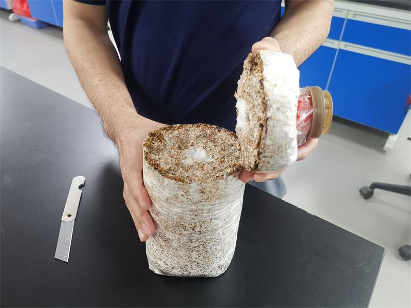 2f20f9cfdff61dda6307b1b1d2b168d.jpg 2f20f9cfdff61dda6307b1b1d2b168d.jpg