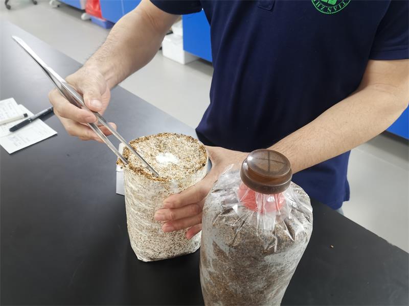 afd98ca7600865811f0a7ea8959a464.jpg afd98ca7600865811f0a7ea8959a464.jpg