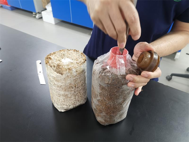 微信图片_20240510202340.jpg 微信图片_20240510202340.jpg