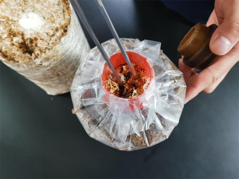 微信图片_20240510202629.jpg 微信图片_20240510202629.jpg