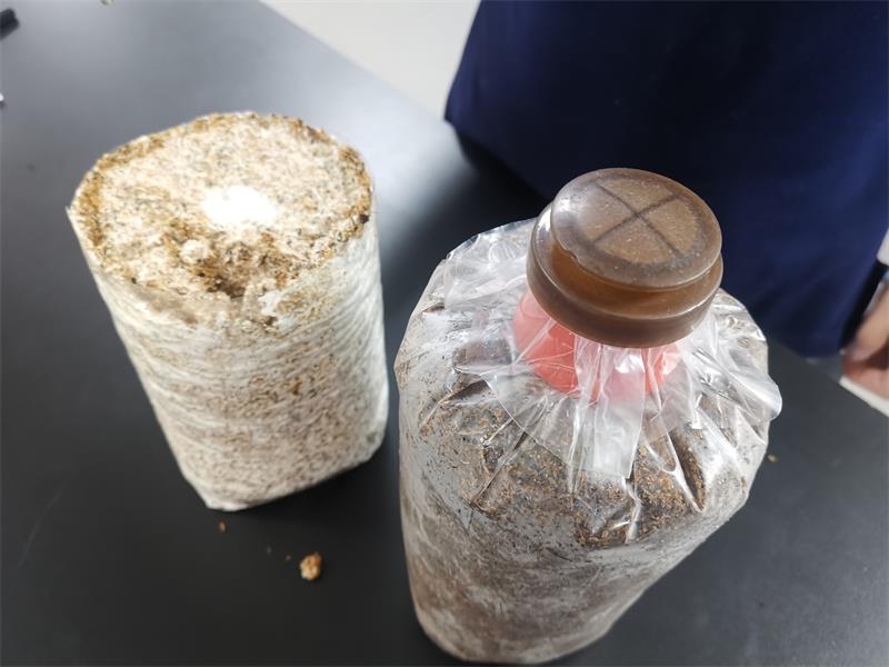 815187b497c2e0f120426623520f2a9.jpg 815187b497c2e0f120426623520f2a9.jpg