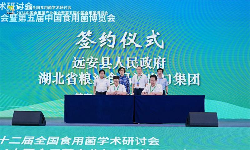 微信图片_20240603165005.jpg 微信图片_20240603165005.jpg