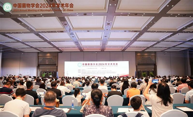 微信图片_20240826095302.jpg 微信图片_20240826095302.jpg