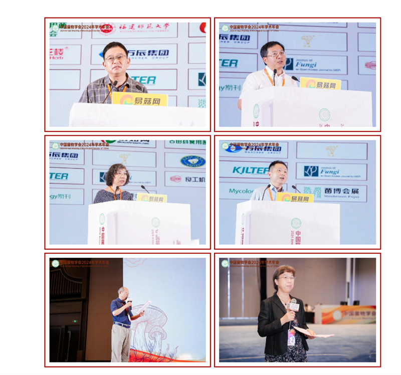 微信图片_20240826114033.png 微信图片_20240826114033.png