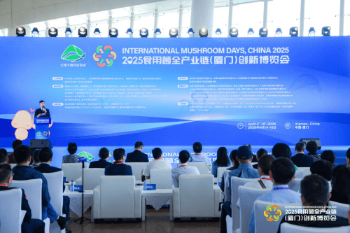 67fe174ee4b0068b78962cac_m.jpg 67fe174ee4b0068b78962cac_m.jpg