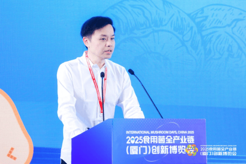 67fe1750e4b0068b78962cb3_m.jpg 67fe1750e4b0068b78962cb3_m.jpg