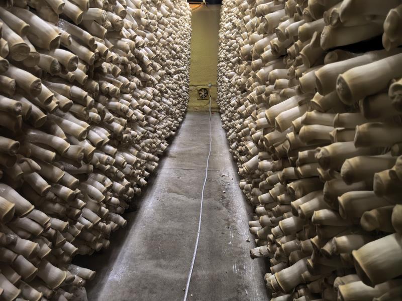 微信图片_20251129220554_178_2299.jpg 微信图片_20251129220554_178_2299.jpg