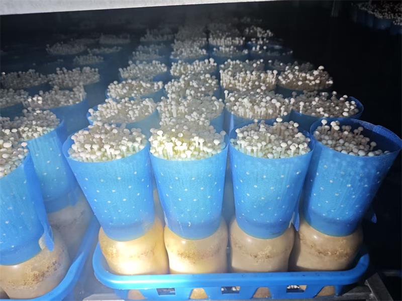 微信图片_20251129220431_174_2299.jpg 微信图片_20251129220431_174_2299.jpg