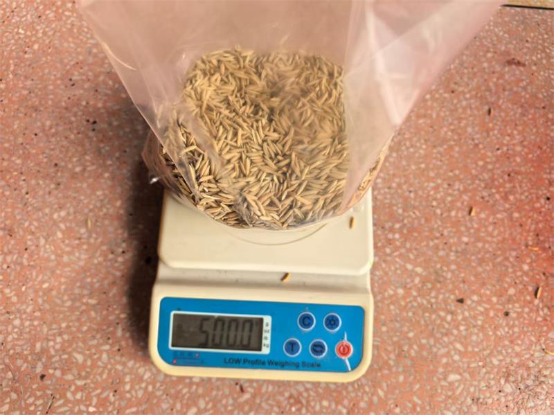 微信图片_20260108204813_358_2299.jpg 微信图片_20260108204813_358_2299.jpg